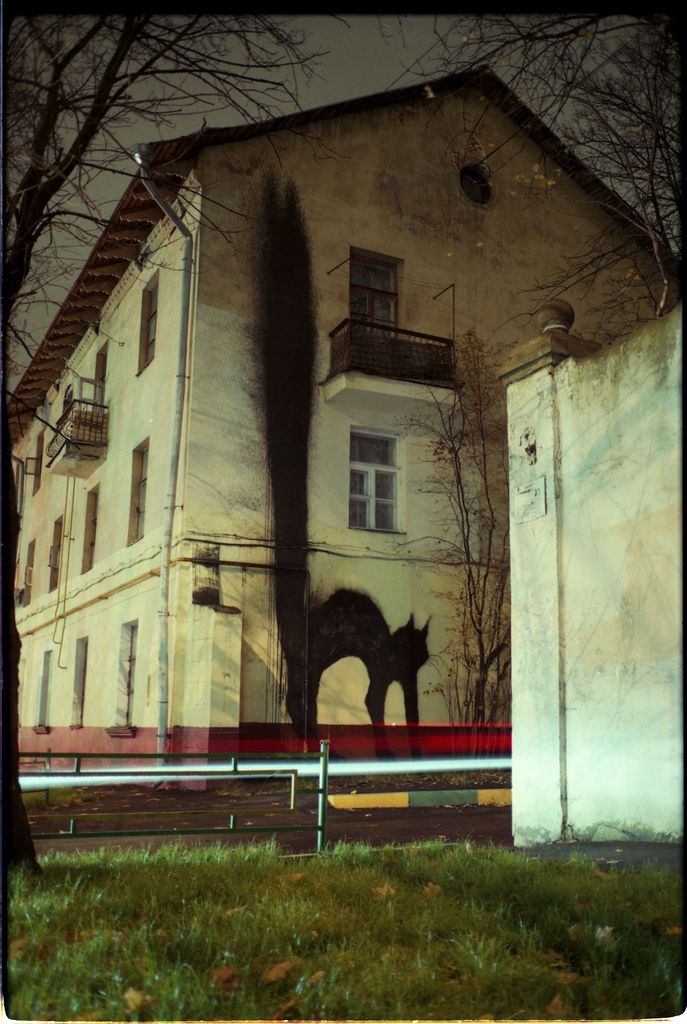 Dramă forestieră