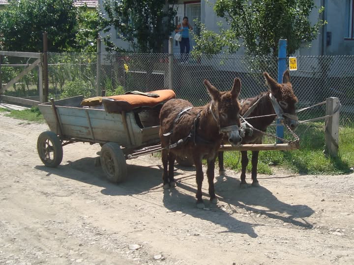 Fabulă de cuplu