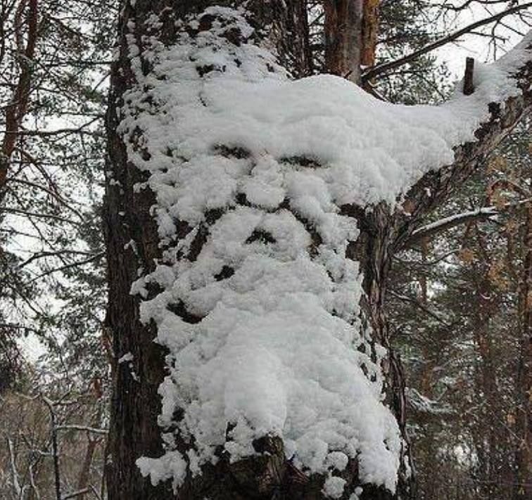 Tristețe de februarie